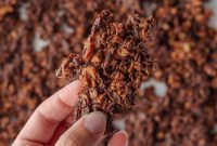 Artisan Chocolate Granola