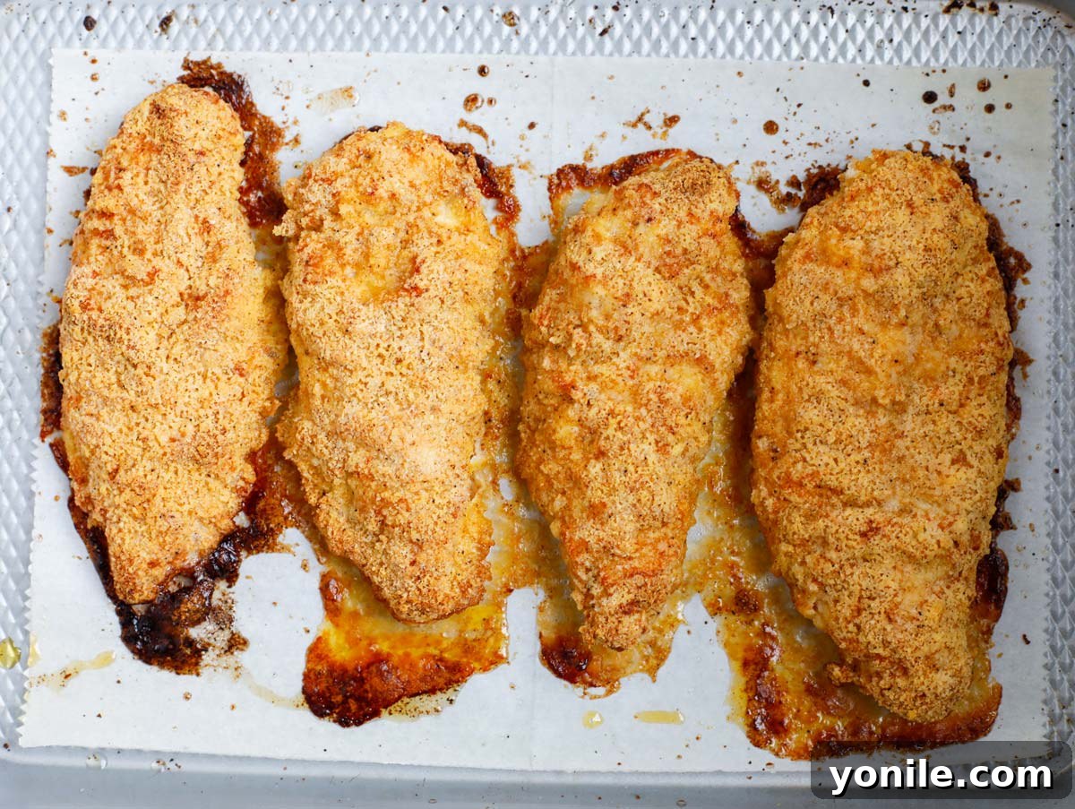 Top-down shot of perfectly baked, golden-brown chicken breasts on parchment paper.