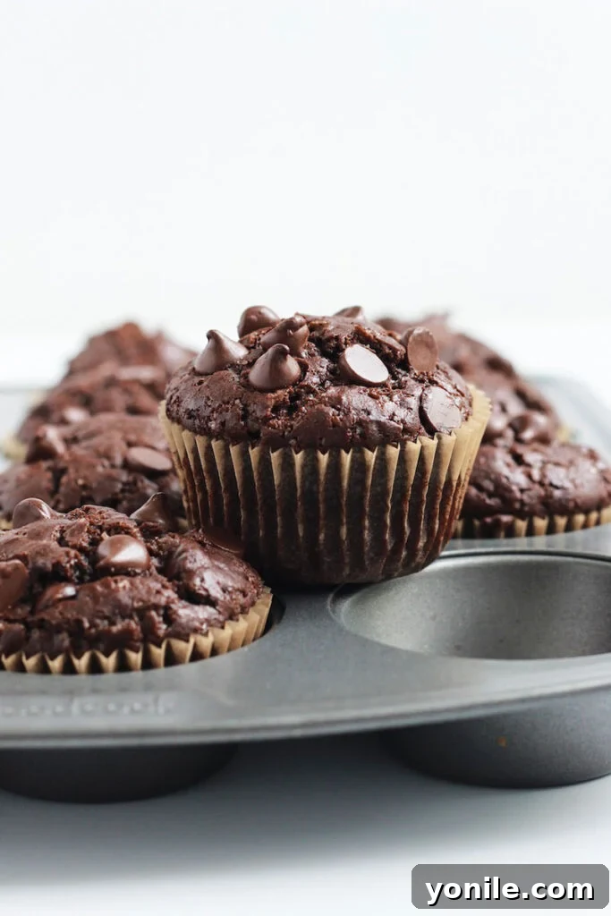 Close up of double chocolate chip muffins on top of a muffin mold. 