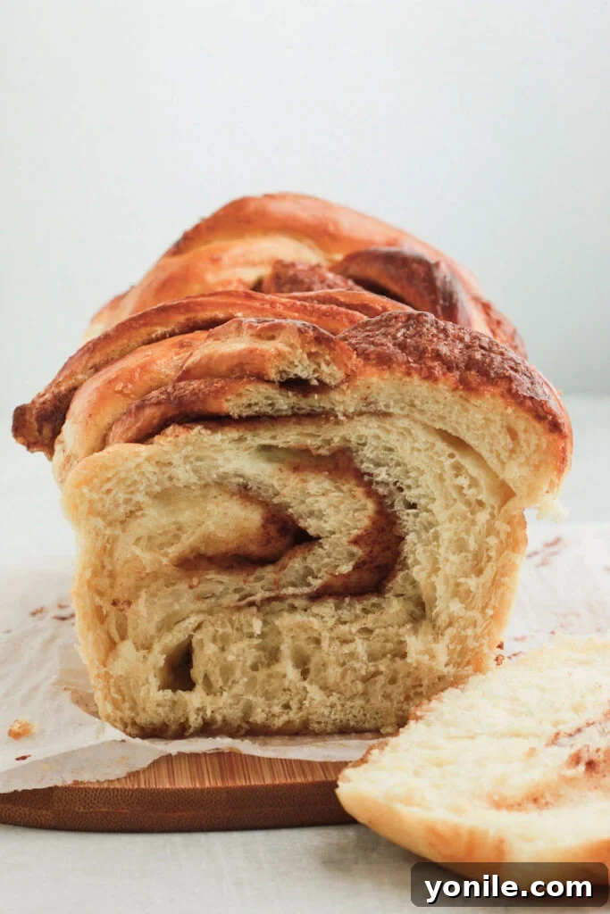 Side shot of babka slice, showcasing its beautiful cinnamon swirls and fluffy texture.