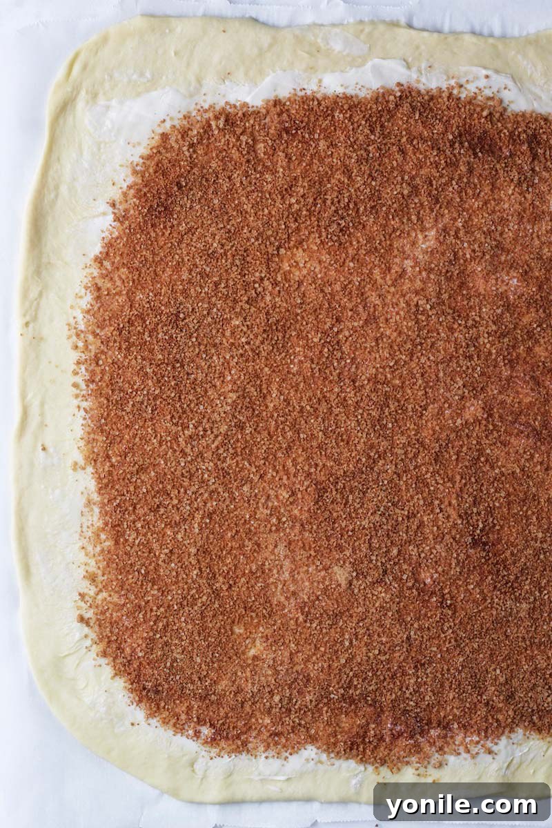Generous cinnamon sugar spread evenly on the babka dough.
