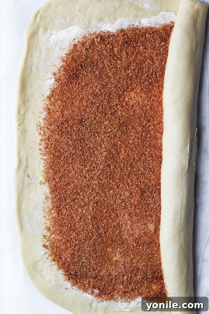 Cinnamon sugar spread on the babka dough, expertly rolled into a log.