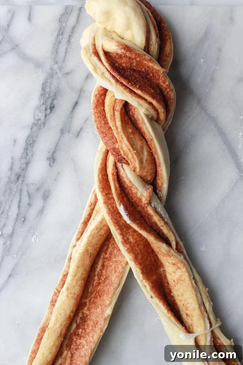 Two strands of dough being twisted to form the babka.