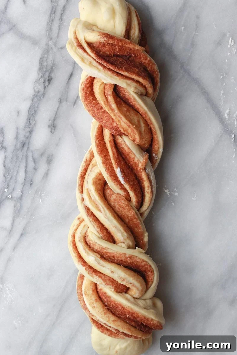 Two strands of dough expertly twisted together, ready for the pan.