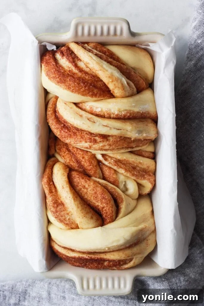Top down shot of a perfectly baked cinnamon babka in a loaf pan, fresh from the oven.