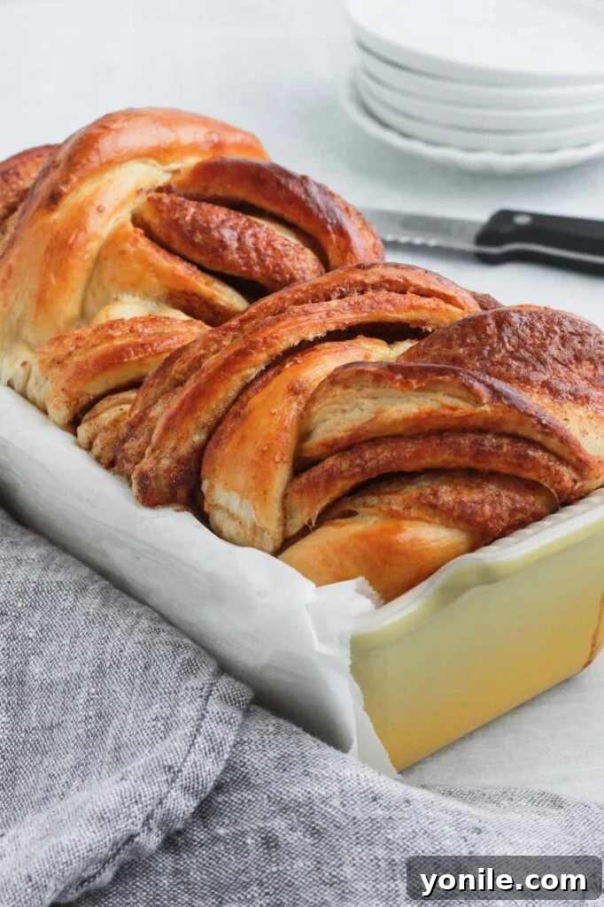 A freshly baked Cinnamon Babka cooling in its loaf pan, showing off its beautiful golden crust.