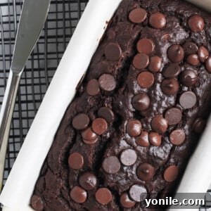 A freshly baked chocolate banana bread loaf, topped with chocolate chips, cooling in a white loaf pan.