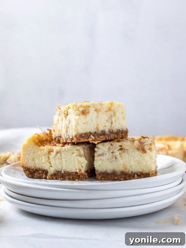 coconut cheesecake bars stacked elegantly on a white plate, ready for serving