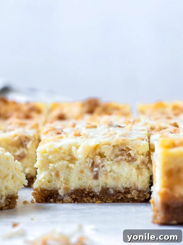 side shot of the cheesecake bars showing the creamy filling, crisp crust, and toasted coconut layers
