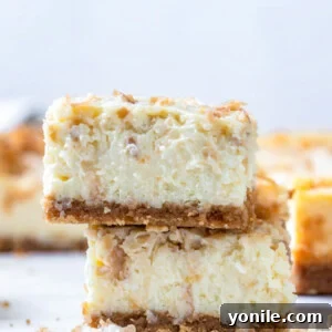 two cheesecake bars stacked up on each other, invitingly presented