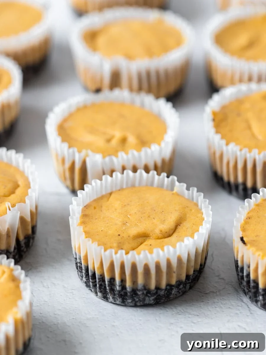 Mini pumpkin cheesecakes arranged neatly on a white surface, showcasing their golden crust and smooth top before adding whipped cream.