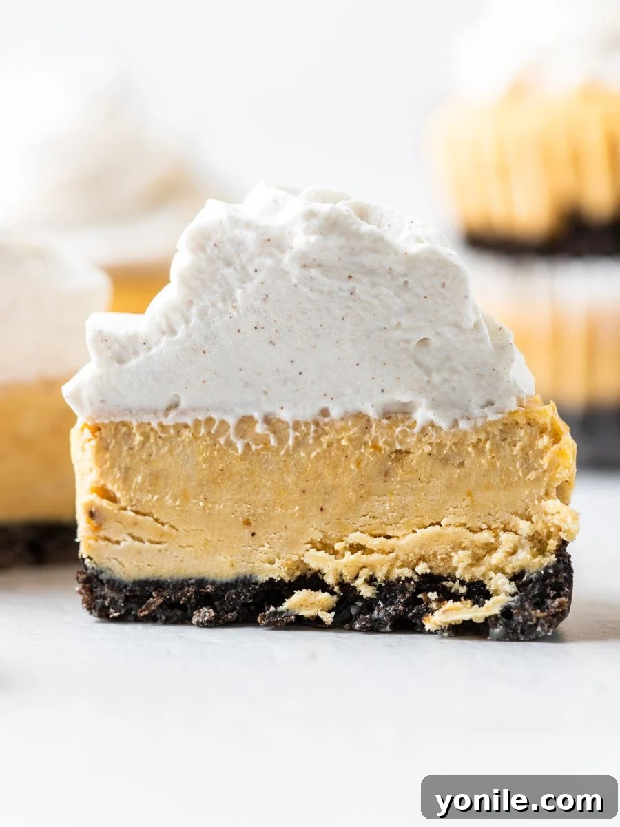 A side shot of a mini cheesecake cut in half, revealing the distinct layers of Oreo crust, creamy pumpkin filling, and fluffy whipped topping.