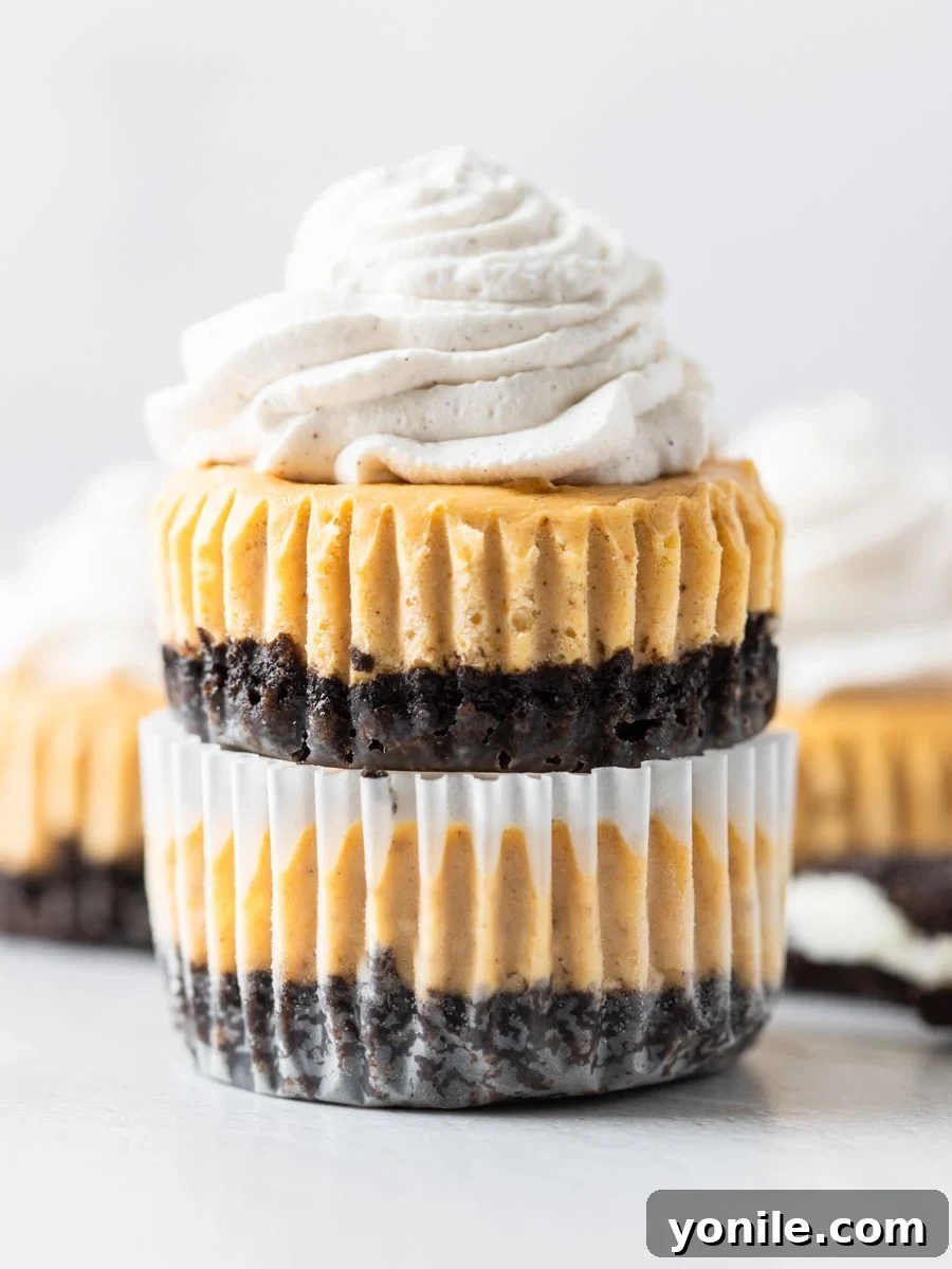 Side on shot of mini cheesecakes stacked on top of each other, showcasing the layers and ready for serving.