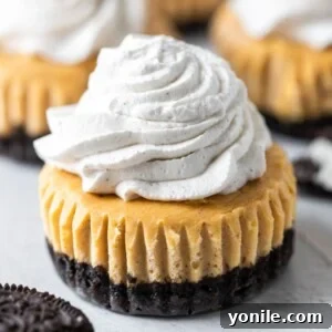 side shot of mini pumpkin cheesecake with topping.