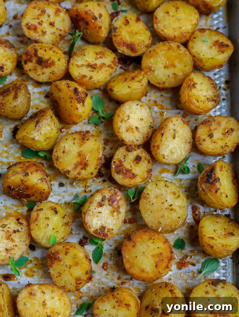Crispy Oven Roasted Baby Potatoes 7 Top down shot of oven roasted baby potatoes on a sheet pan, ready to be removed from the oven.