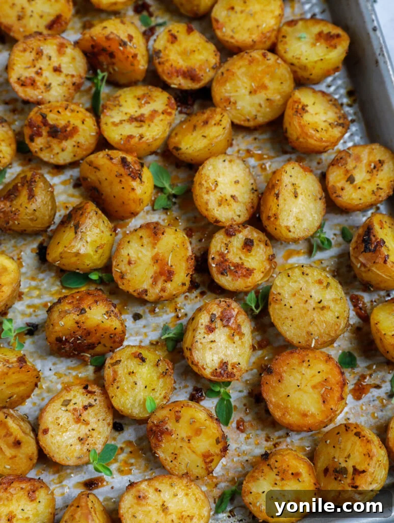 Crispy Oven Roasted Baby Potatoes 8 Top down shot of oven roasted baby potatoes on a sheet pan, garnished with fresh herbs, close up.