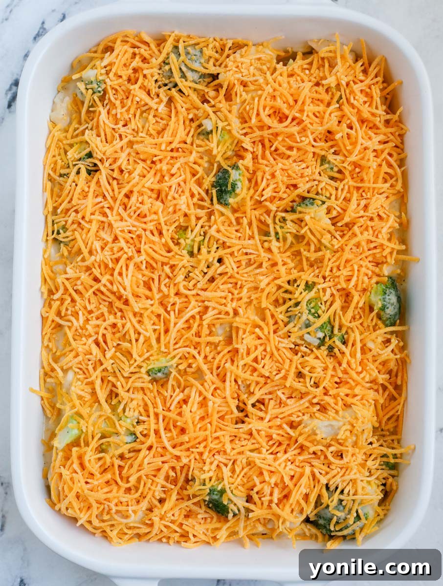 A white casserole dish brimming with chicken broccoli rice casserole, generously topped with shredded cheddar cheese, prepared for baking.