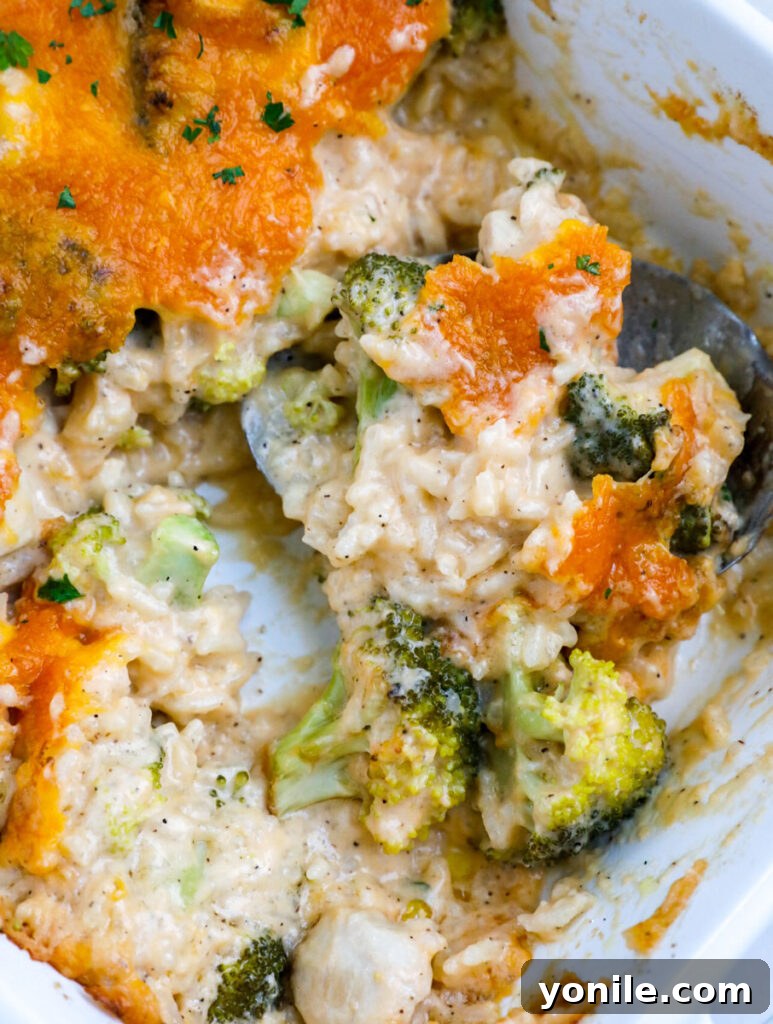 A serving spoon lifting a generous scoop of the golden-brown, cheesy chicken broccoli and rice casserole from a white baking dish.