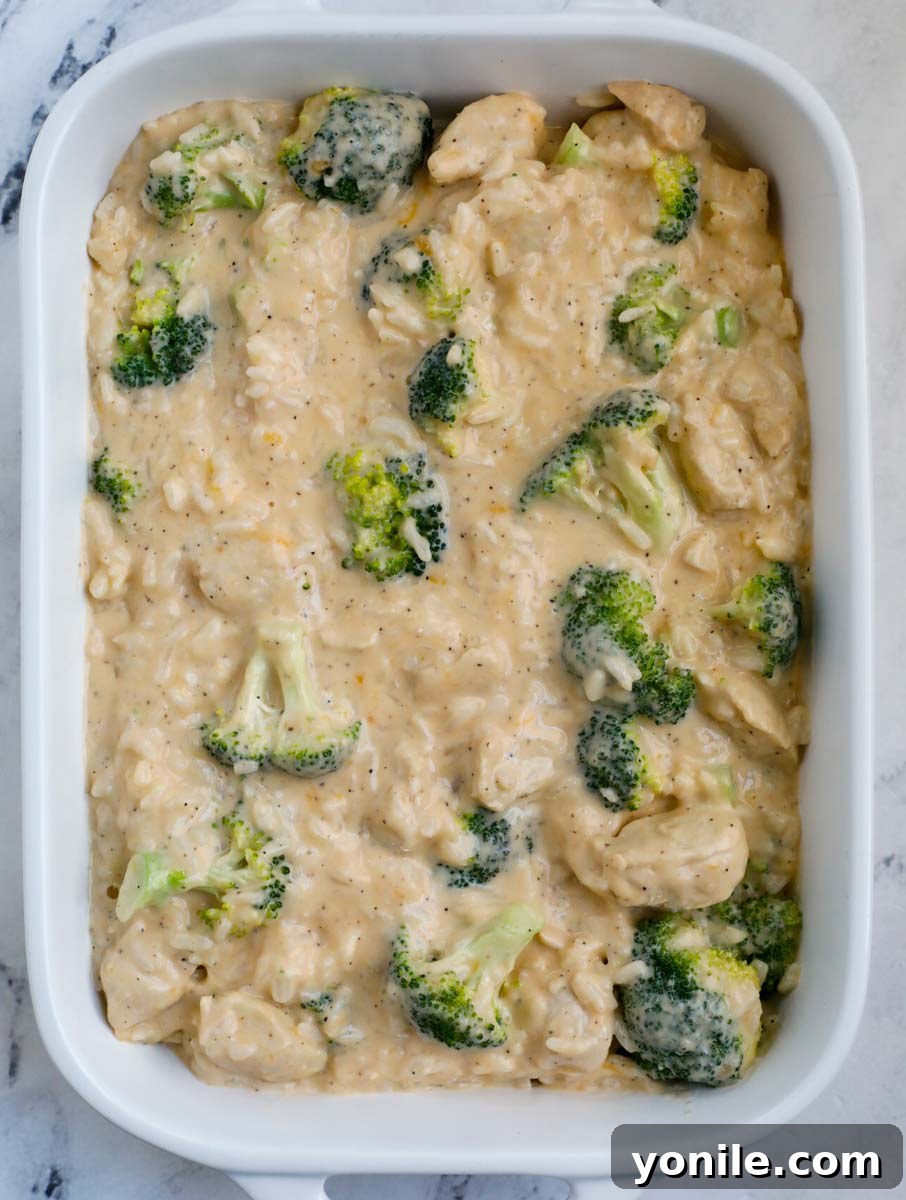 A white casserole dish filled with unbaked chicken, broccoli, and rice in a creamy sauce, ready for the final cheese topping.