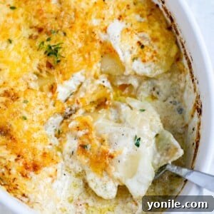 spoon scooping out some au gratin potatoes
