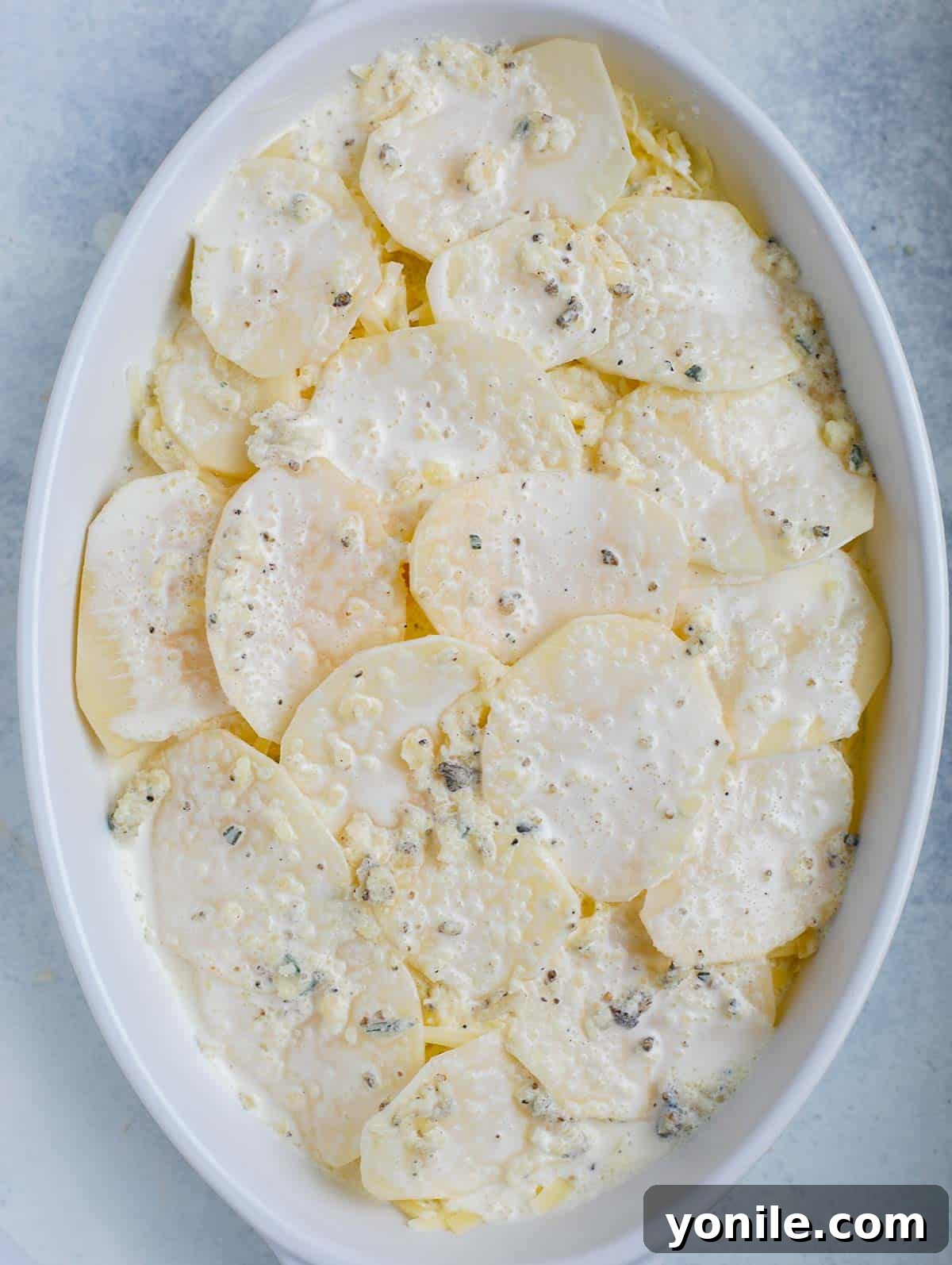 Simple Cheesy Potato Bake 8 Top down shot of the au gratin potatoes in a white dish before baking