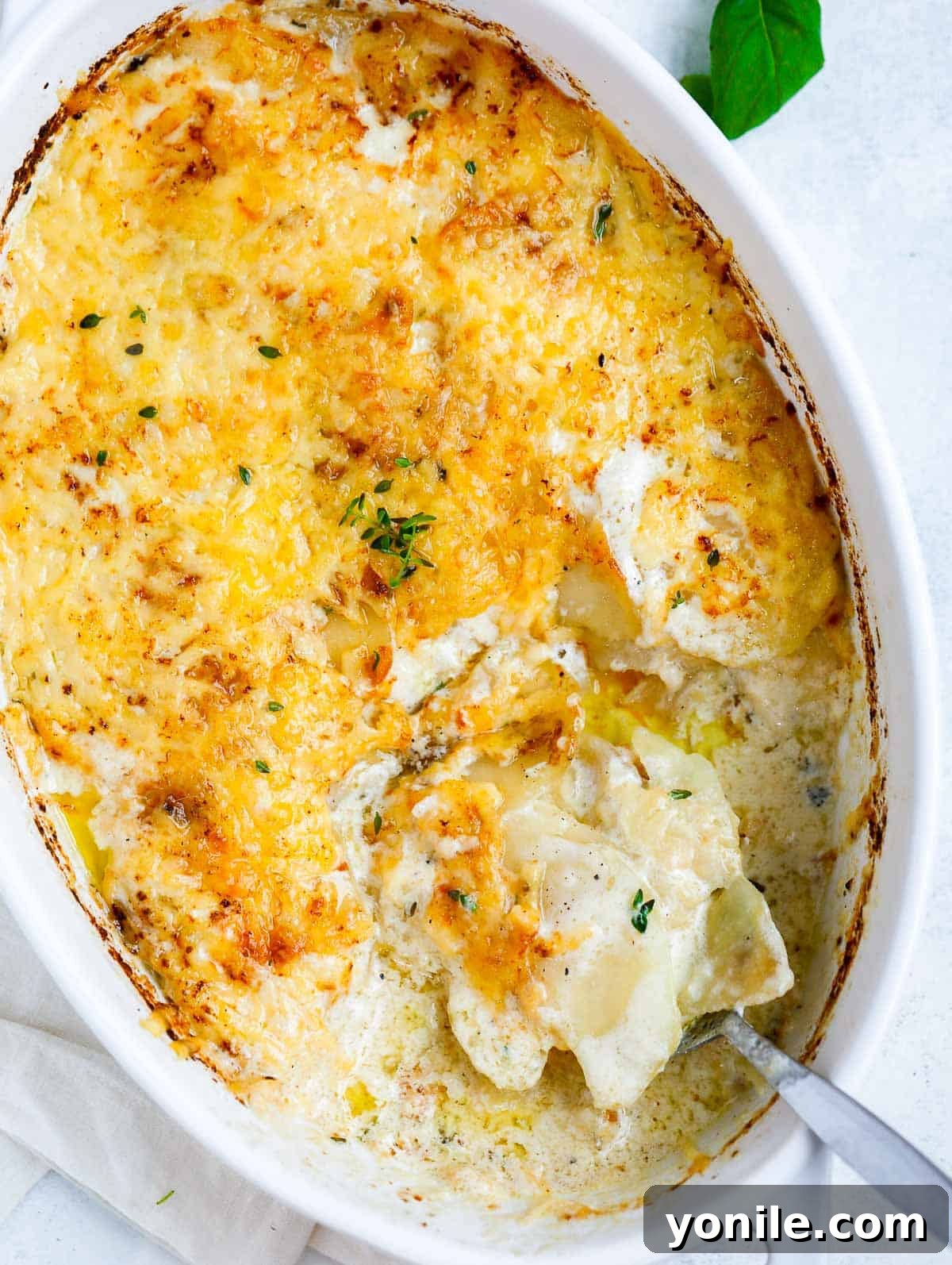 Simple Cheesy Potato Bake 10 Top down shot of the potatoes au gratin in a white dish.