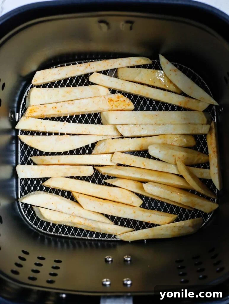 Top down shot of sweet potato slices neatly arranged in the air fryer basket.