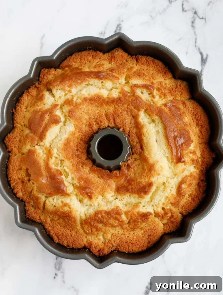 A top-down view of the golden-brown orange fruit cake freshly out of the oven, still in its Bundt pan.