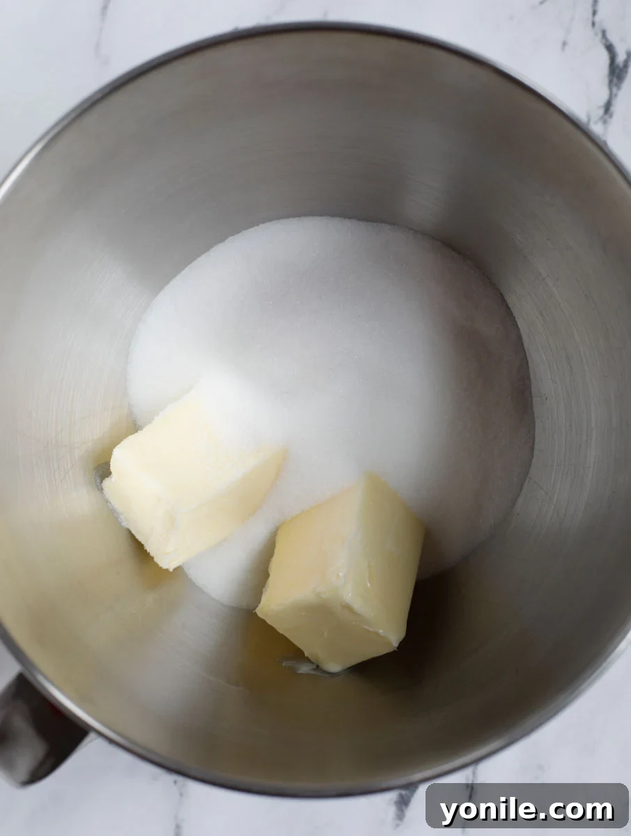Softened butter and granulated sugar in a stand mixer bowl, ready to be creamed together.