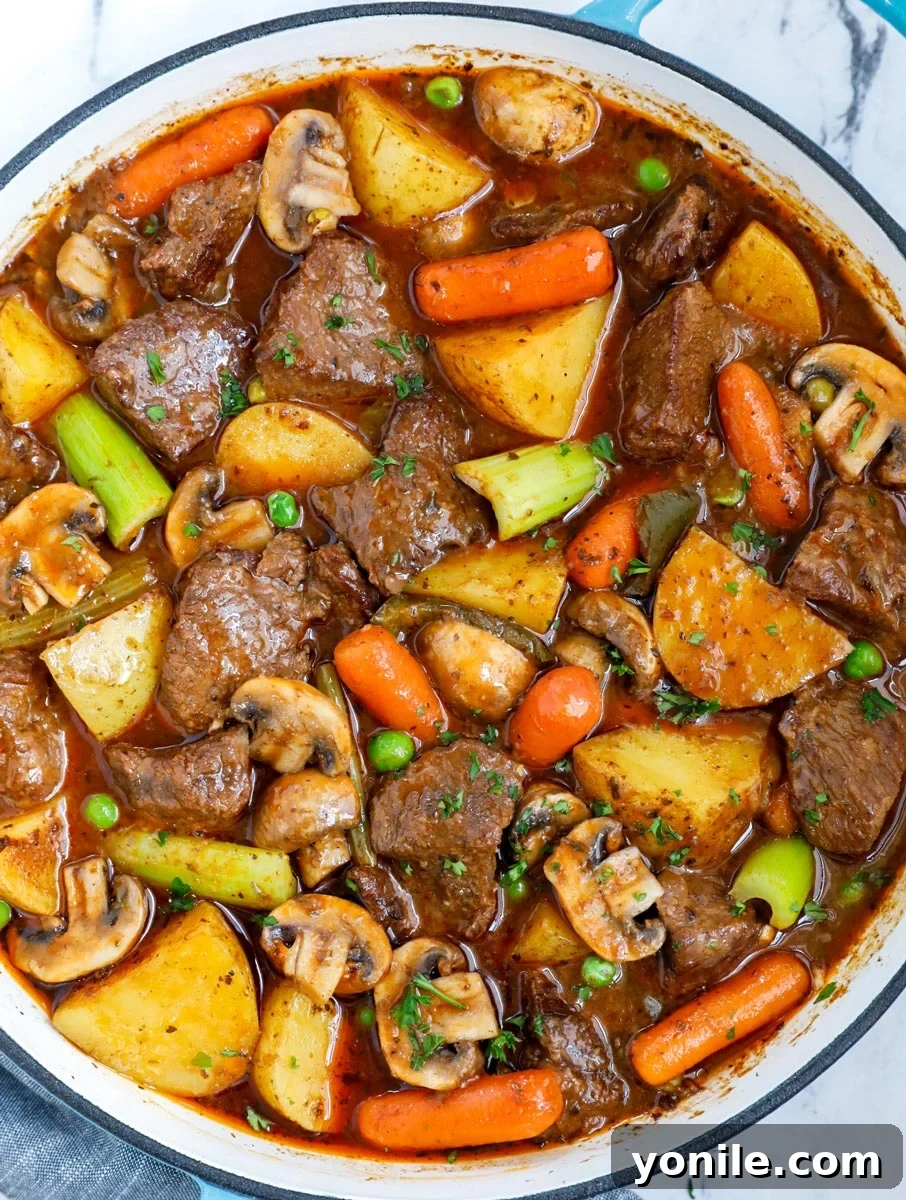 Overhead view of homemade oven beef stew recipe in a cast iron skillet.