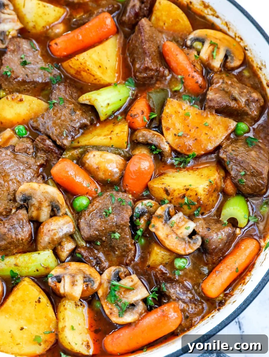 Overhead view of homemade oven beef stew recipe in a cast iron skillet.
