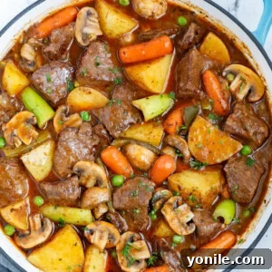 Top down view of best beef stew in a blue pot.
