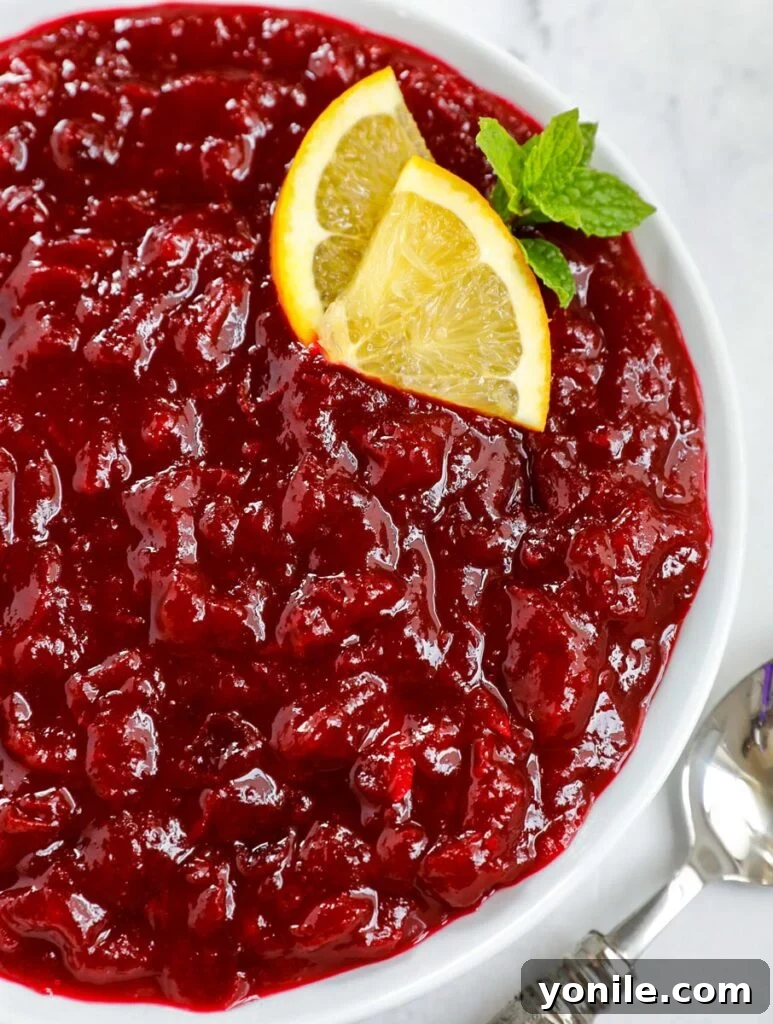 Close up shot of homemade cranberry sauce served in a pristine white dish, garnished with fresh cranberries and a sprig of rosemary.