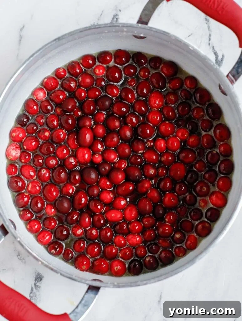 Fresh cranberries being added to a pot of simmering orange juice and spices on a stovetop.