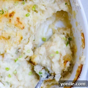 Top down view of mashed potatoes in a baking dish with a portion taken out.