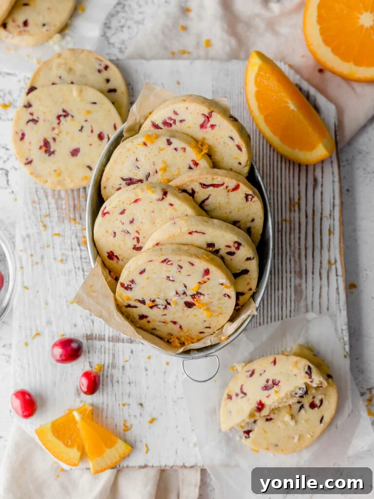 Zesty Cranberry Orange Butter Cookies 2 Top down view of cranberry orange shortbread cookies, garnished with orange zest and a few whole cranberries.