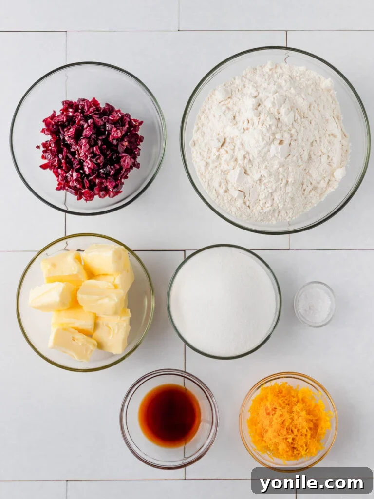 Zesty Cranberry Orange Butter Cookies 3 Top down view of shortbread cookie ingredients arranged on a surface, including butter, flour, sugar, cranberries, and oranges.