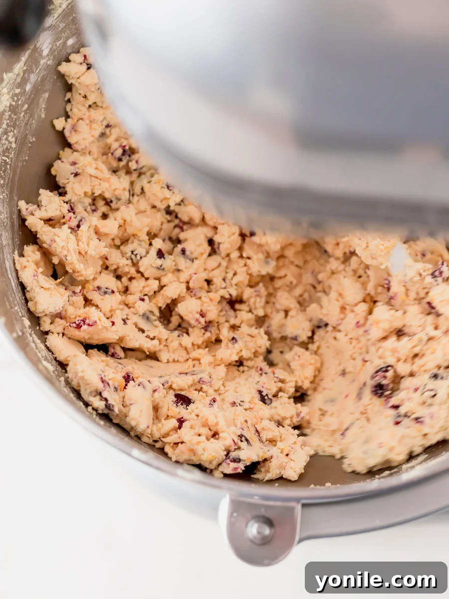 Zesty Cranberry Orange Butter Cookies 5 Top down shot of cookie dough with cranberries in a mixer, ready for chilling.
