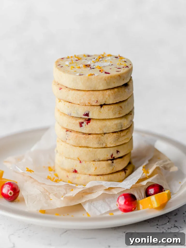 Zesty Cranberry Orange Butter Cookies 8 A tall stack of cranberry orange shortbread cookies, beautifully arranged, ready to be enjoyed.