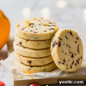 Zesty Cranberry Orange Butter Cookies 9 Cranberry Shortbread Cookies