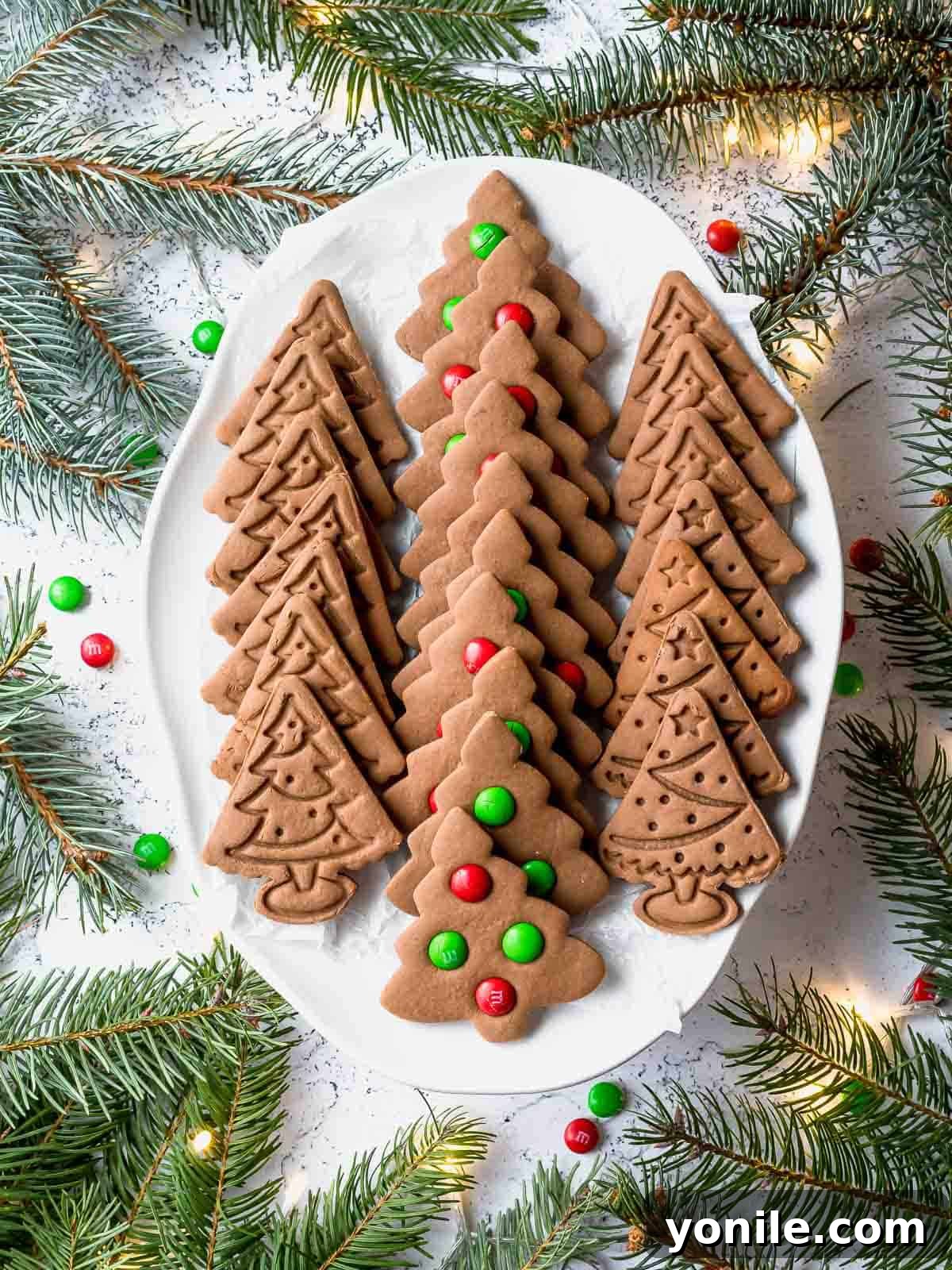 christmas tree gingerbread cookies in a white plate with cinnamon sticks and star anise decoration around