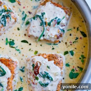 Top down view of creamy Tuscan salmon.