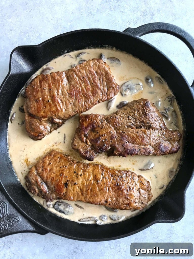 Close-up of creamy mushroom steak cooking in a pan