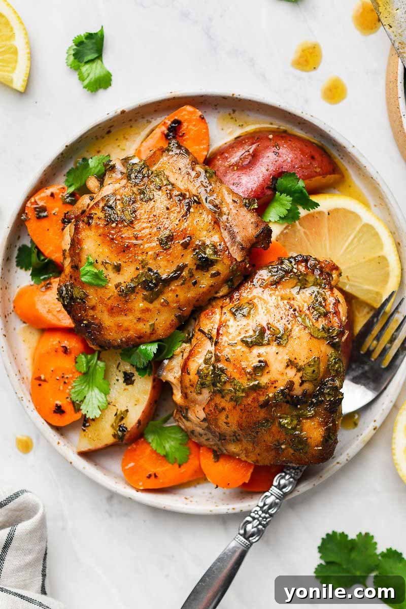 Two pieces of chicken thighs in a plate with veggies and fork