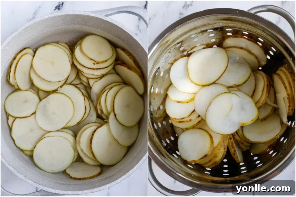 Everything Bagel Chips 4 A top-down view of thinly sliced potato rounds neatly arranged in a colander, glistening slightly after being rinsed and drained, ready for seasoning and baking.