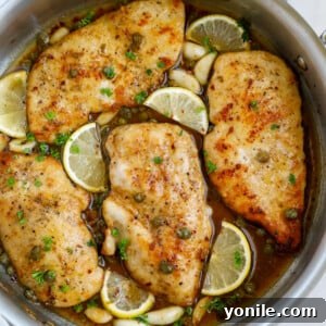 Top down view of lemon chicken piccata in a pot.