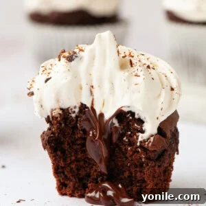 Decadent Vegan Chocolate Delights 9 chocolate cupcake with a bite taken out of it
