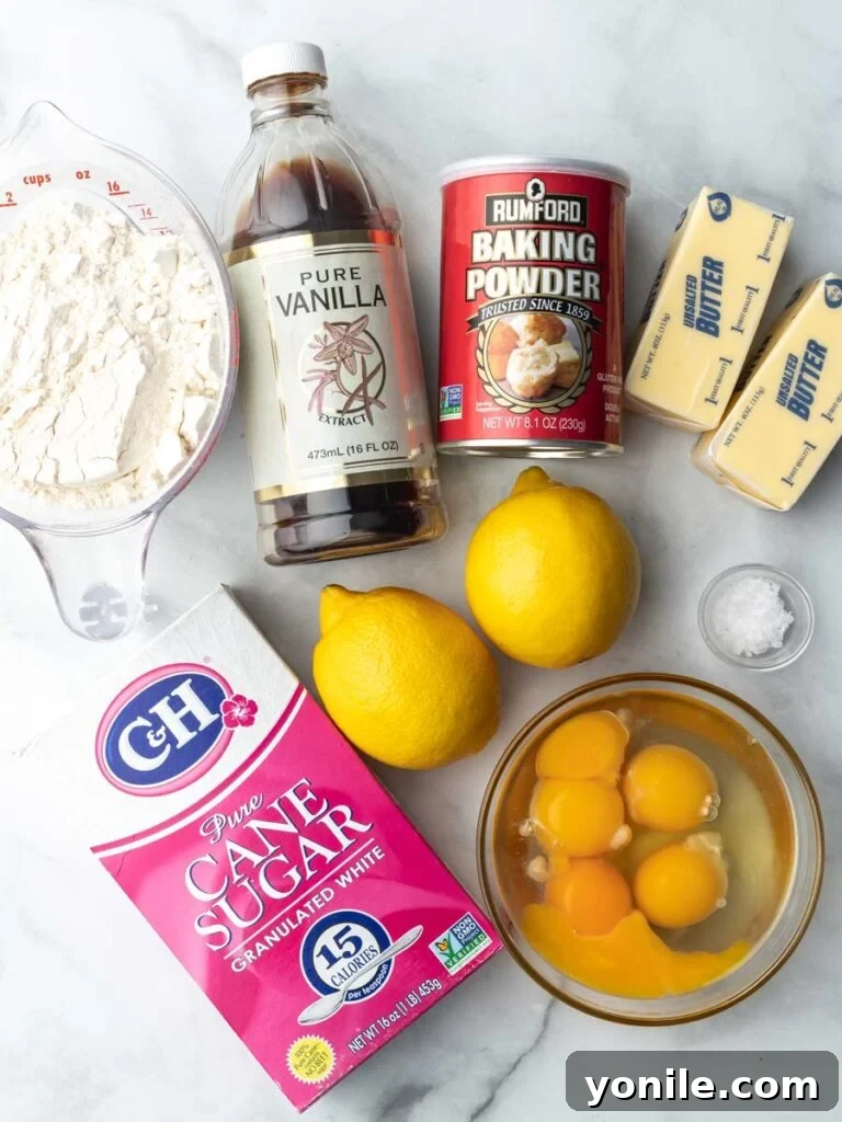 An overhead shot showcasing all the essential ingredients neatly arranged for making lemon Madeleines, including butter, sugar, lemons, eggs, and flour.