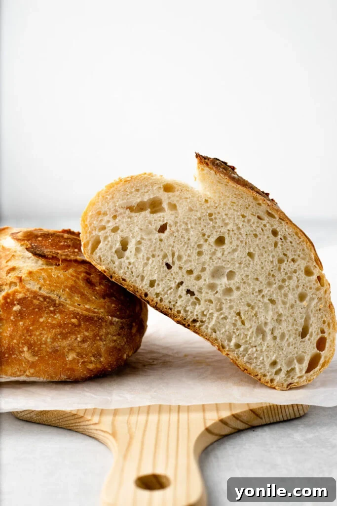 Effortless Artisan Loaf 2 Half of a loaf of bread, cut, leaned overtop the other half of the bread. The crust is golden and the interior looks fluffy.