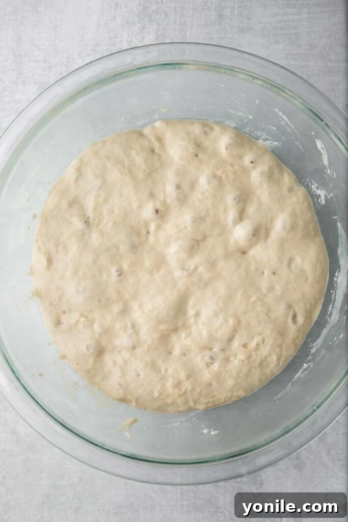 Effortless Artisan Loaf 5 Dough rising with visible bubbles in it in a clear glass bowl, indicating good fermentation.